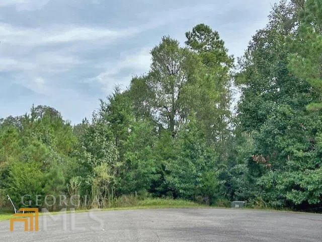 0 La Sole LN Waverly, GA 31565