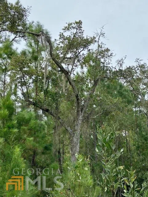 0 La Sole LN Waverly, GA 31565