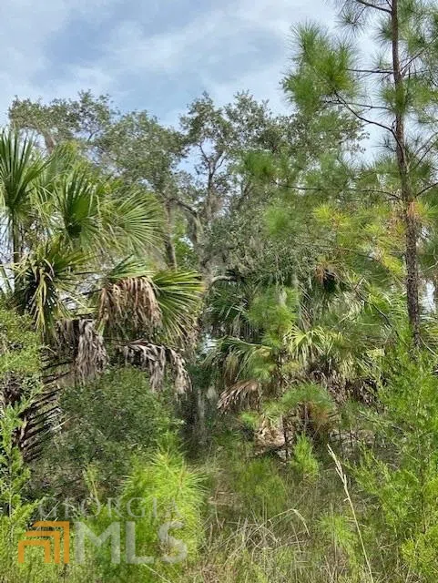 0 La Sole LN Waverly, GA 31565