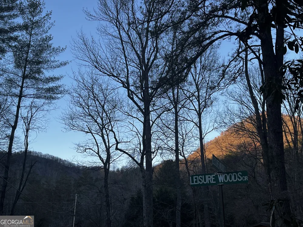 83 Leisure Woods LN Hiawassee, GA 30546