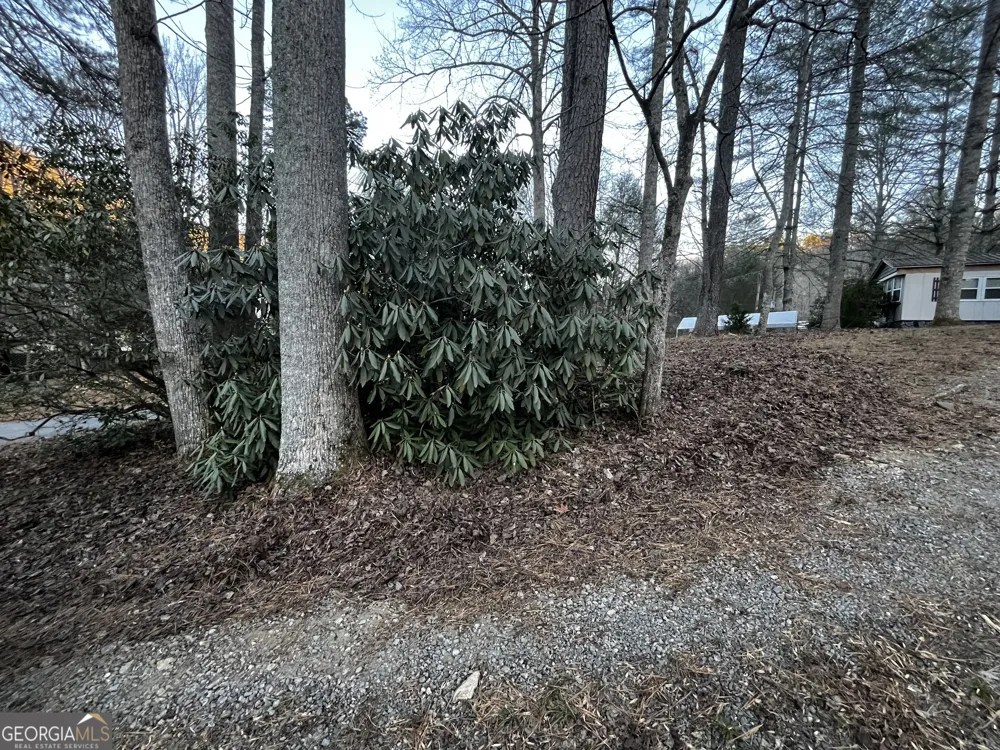 83 Leisure Woods LN Hiawassee, GA 30546