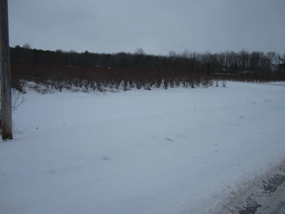 Weber Road Muskegon, MI 49445