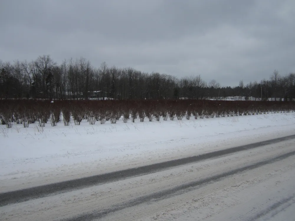 Weber Road Muskegon, MI 49445
