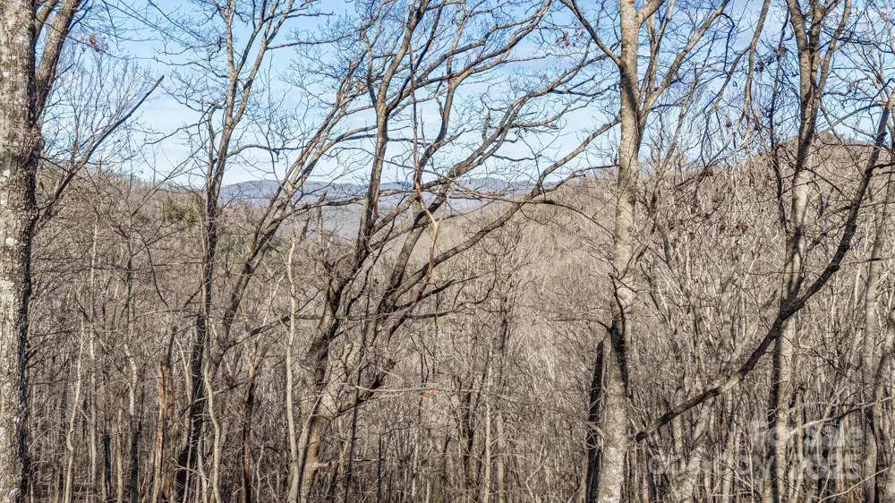 Lot F115 Leafy Knoll Circle Glenville, NC 28736
