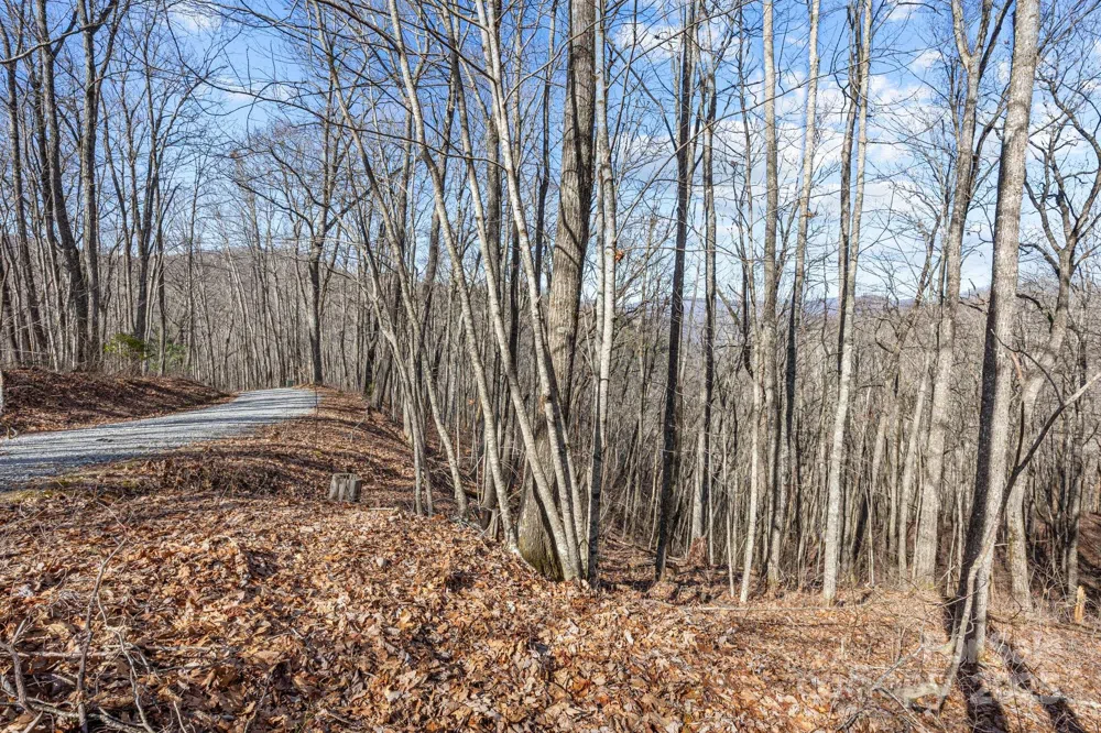 Lot F115 Leafy Knoll Circle Glenville, NC 28736