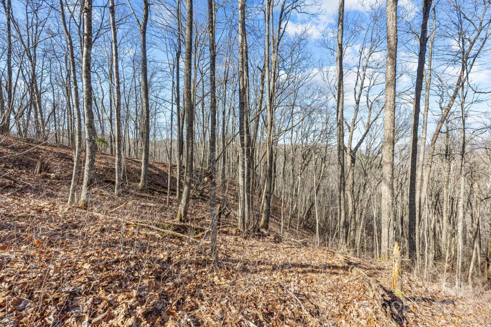Lot F115 Leafy Knoll Circle Glenville, NC 28736