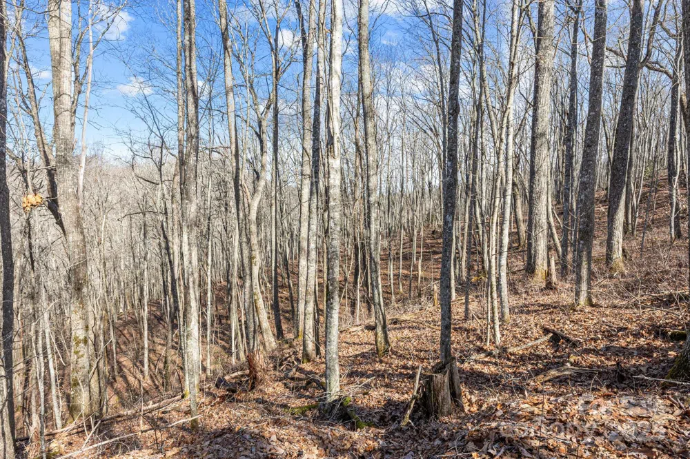 Lot F115 Leafy Knoll Circle Glenville, NC 28736