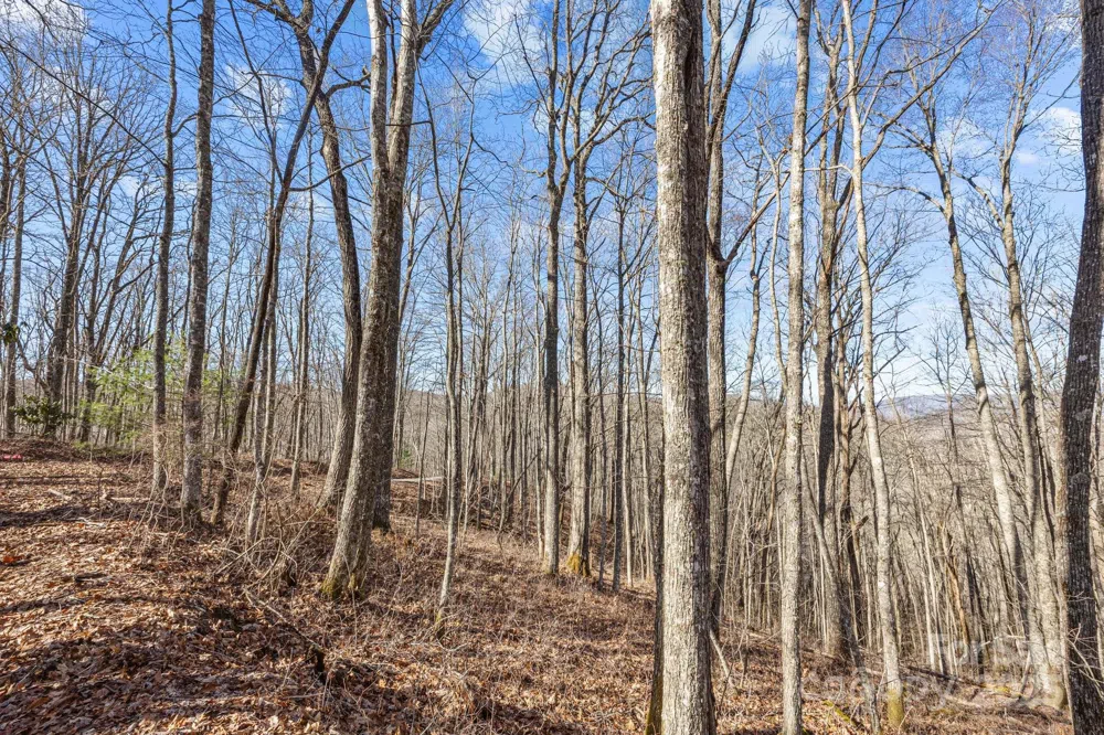 Lot F115 Leafy Knoll Circle Glenville, NC 28736