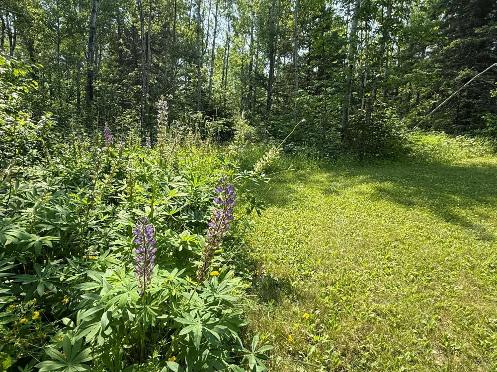 3437 Blueberry Hill Rd. Two Harbors, MN 55616