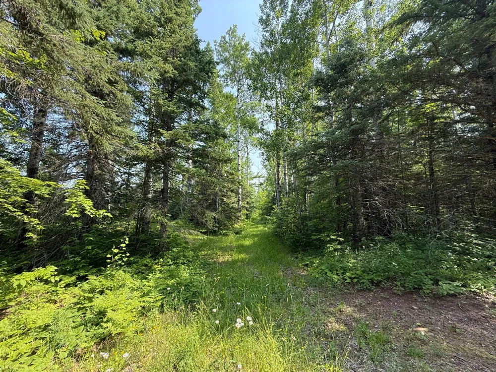 3437 Blueberry Hill Rd. Two Harbors, MN 55616