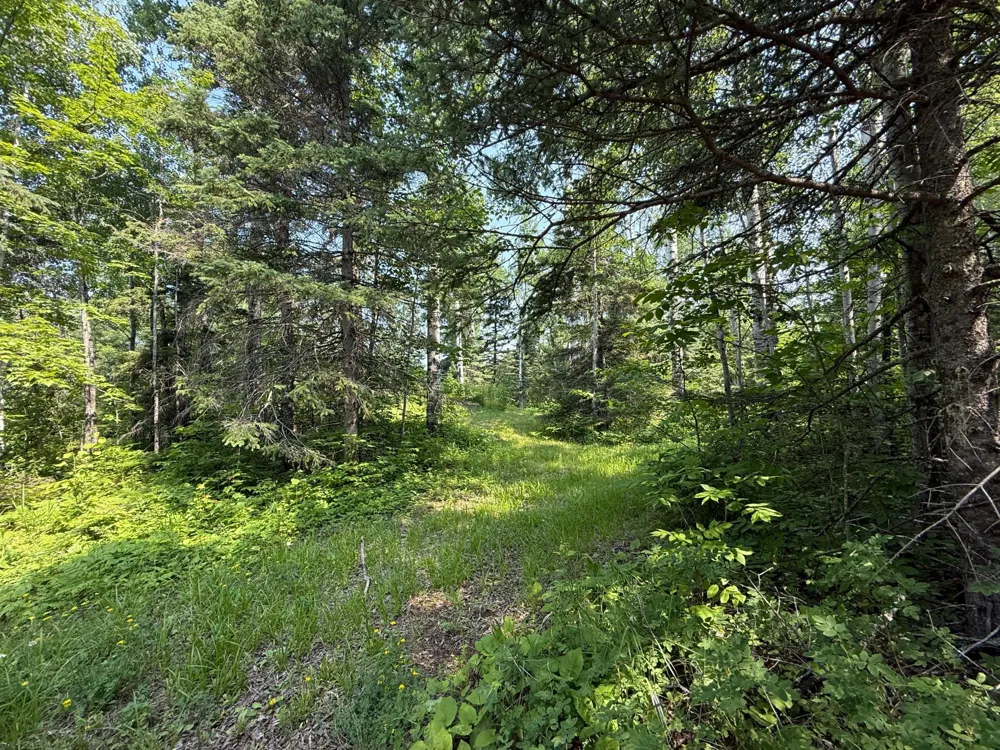 3437 Blueberry Hill Rd. Two Harbors, MN 55616