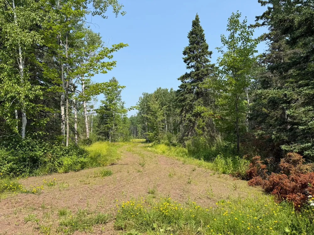 3437 Blueberry Hill Rd. Two Harbors, MN 55616
