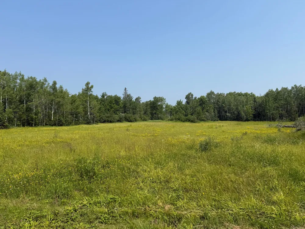 3437 Blueberry Hill Rd. Two Harbors, MN 55616