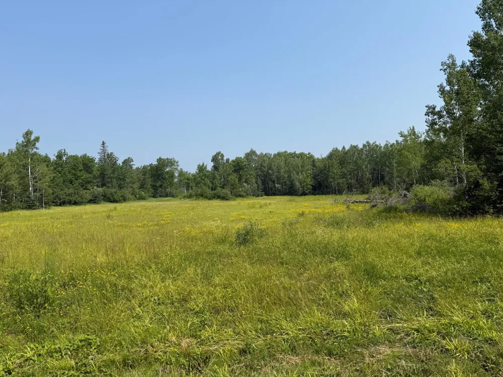 3437 Blueberry Hill Rd. Two Harbors, MN 55616