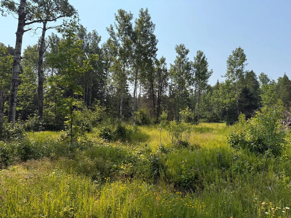 3437 Blueberry Hill Rd. Two Harbors, MN 55616