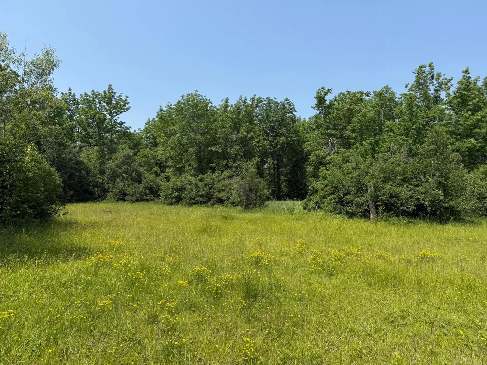3437 Blueberry Hill Rd. Two Harbors, MN 55616