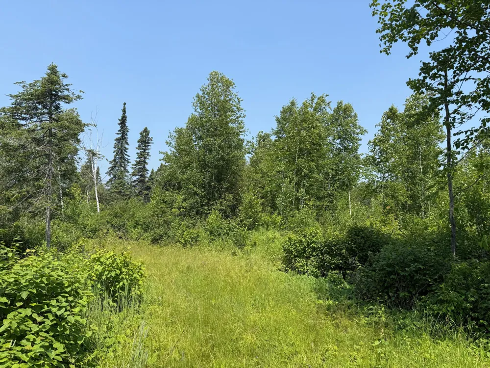 3437 Blueberry Hill Rd. Two Harbors, MN 55616