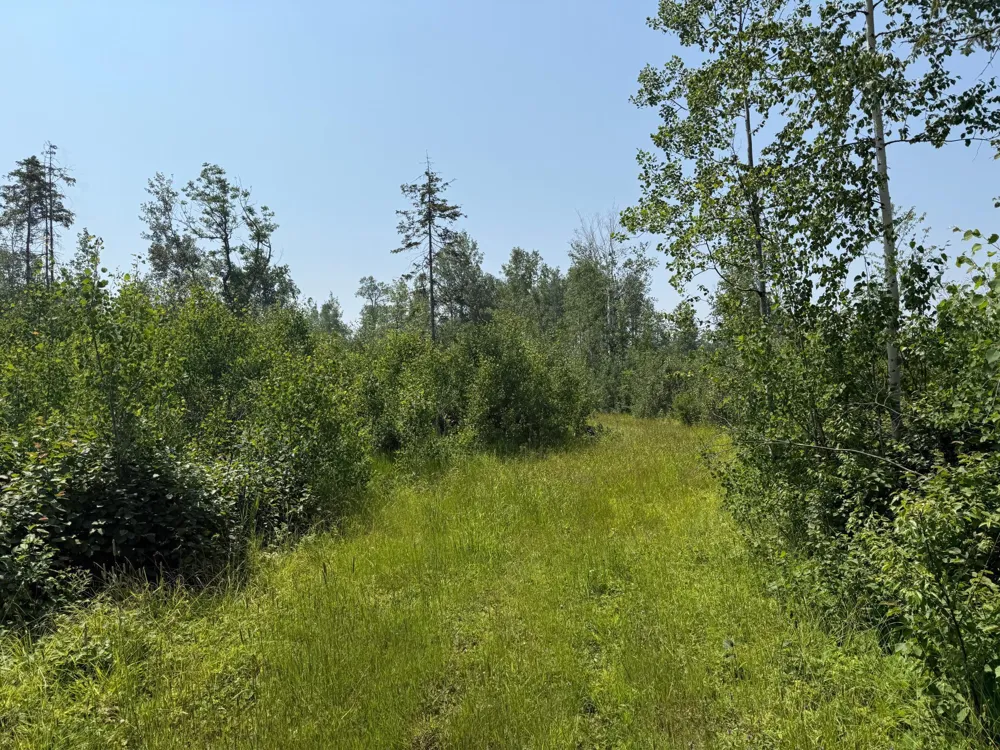 3437 Blueberry Hill Rd. Two Harbors, MN 55616
