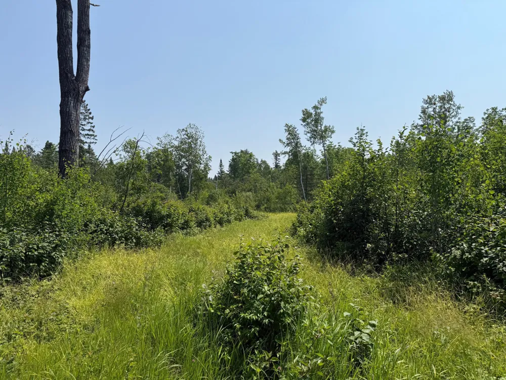 3437 Blueberry Hill Rd. Two Harbors, MN 55616