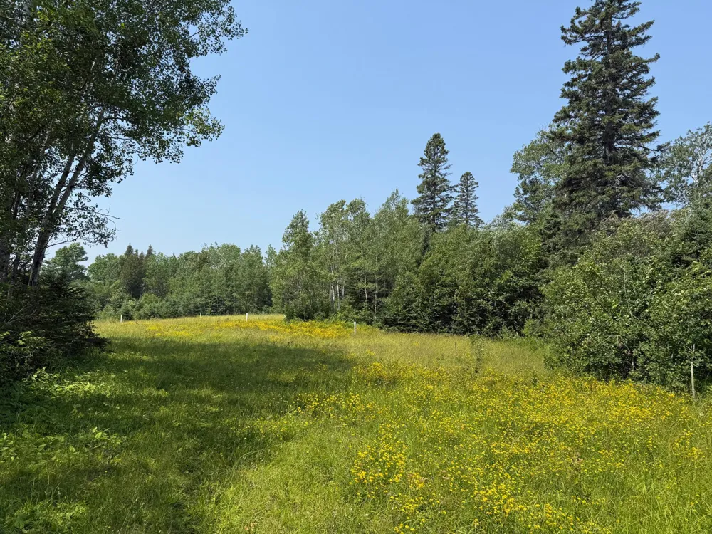 3437 Blueberry Hill Rd. Two Harbors, MN 55616