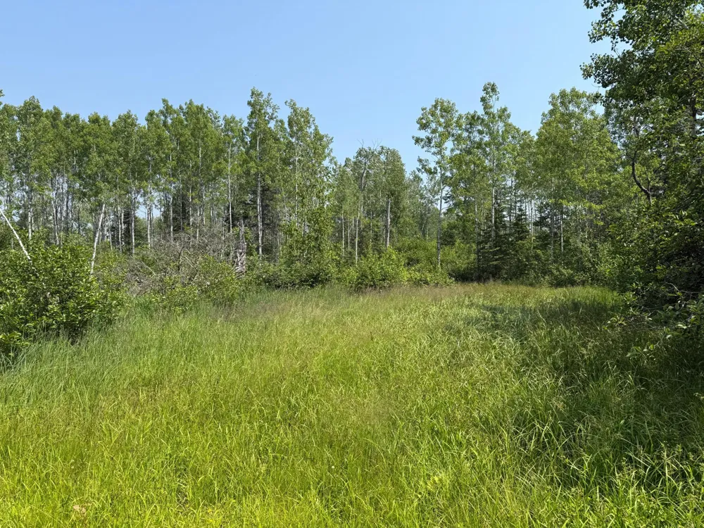 3437 Blueberry Hill Rd. Two Harbors, MN 55616