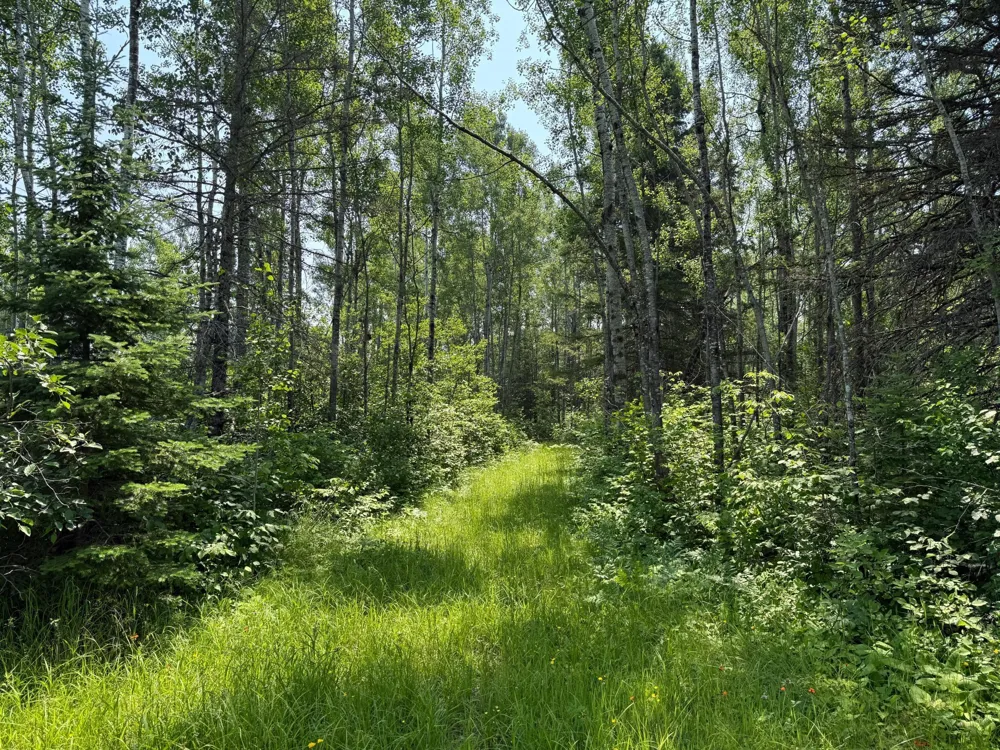 3437 Blueberry Hill Rd. Two Harbors, MN 55616