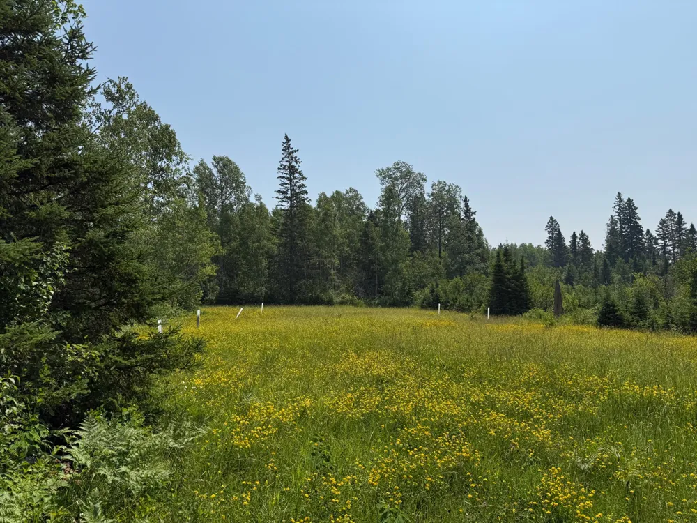 3437 Blueberry Hill Rd. Two Harbors, MN 55616