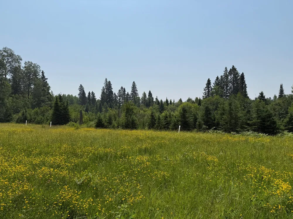 3437 Blueberry Hill Rd. Two Harbors, MN 55616