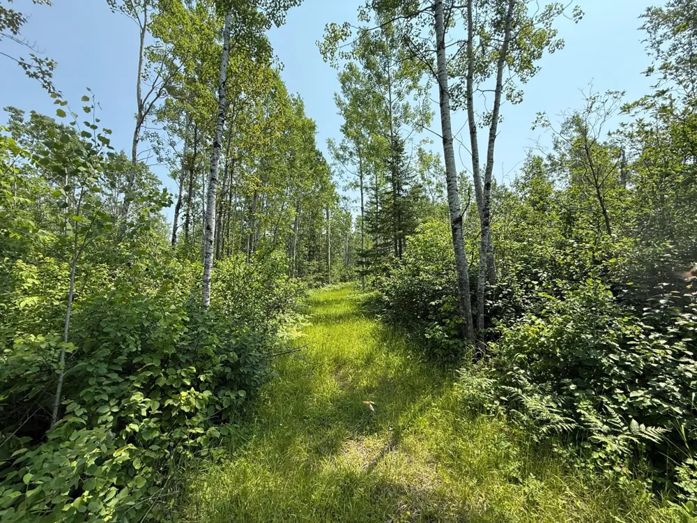 3437 Blueberry Hill Rd. Two Harbors, MN 55616