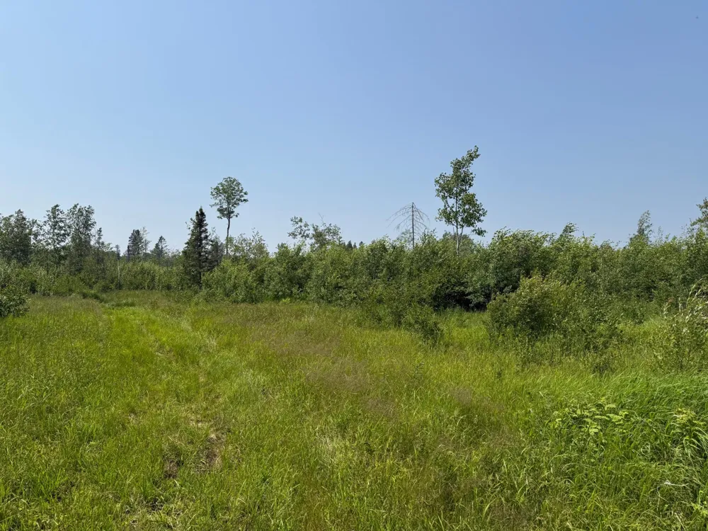3437 Blueberry Hill Rd. Two Harbors, MN 55616