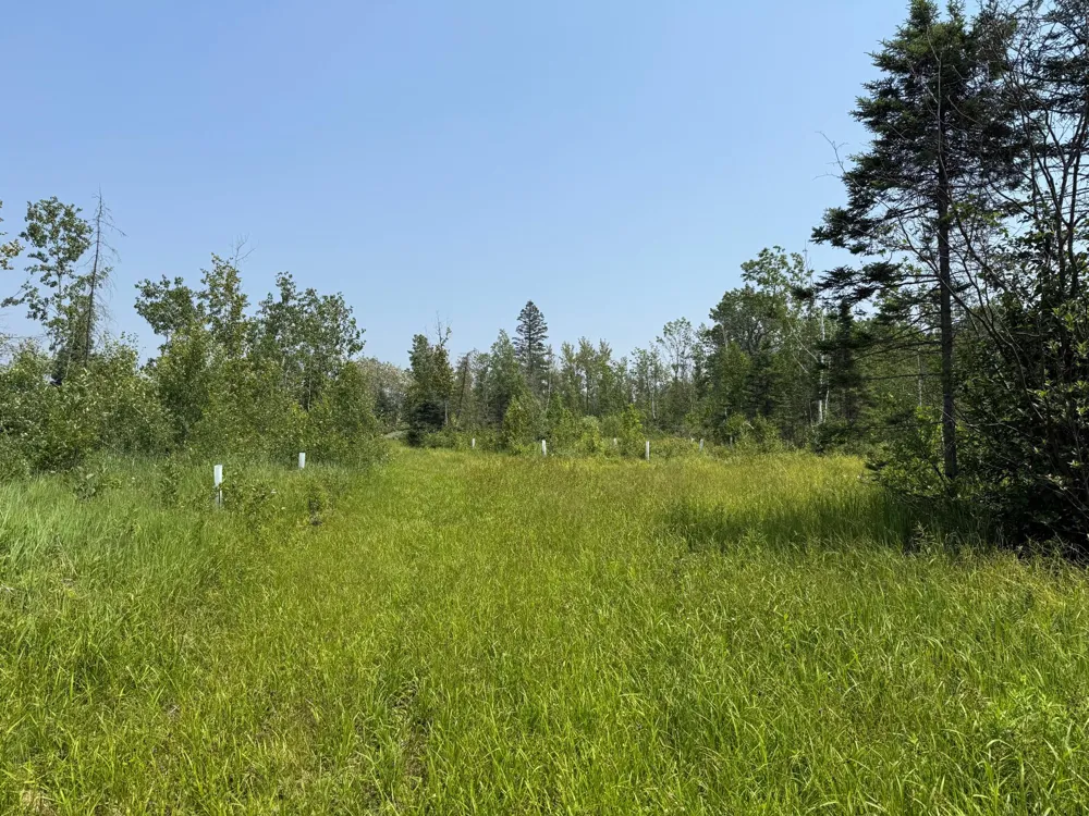 3437 Blueberry Hill Rd. Two Harbors, MN 55616