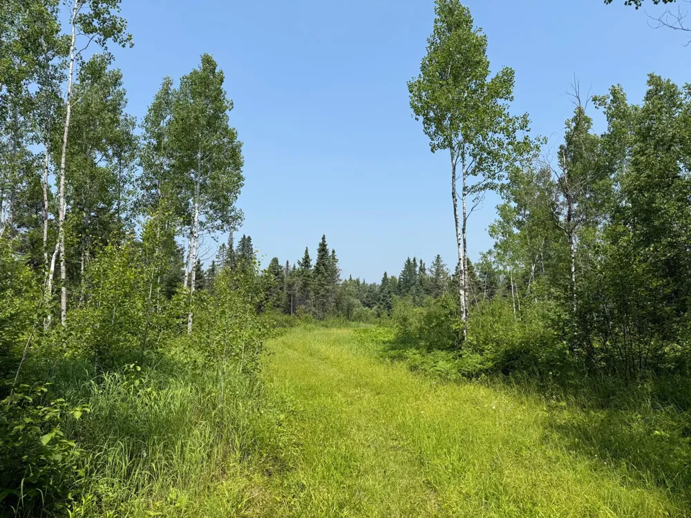 3437 Blueberry Hill Rd. Two Harbors, MN 55616