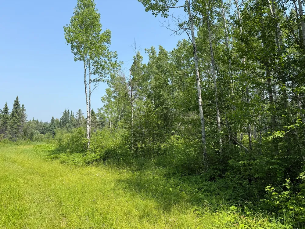 3437 Blueberry Hill Rd. Two Harbors, MN 55616