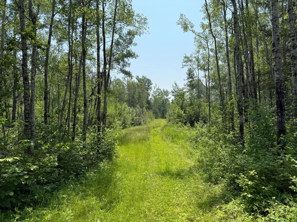 3437 Blueberry Hill Rd. Two Harbors, MN 55616