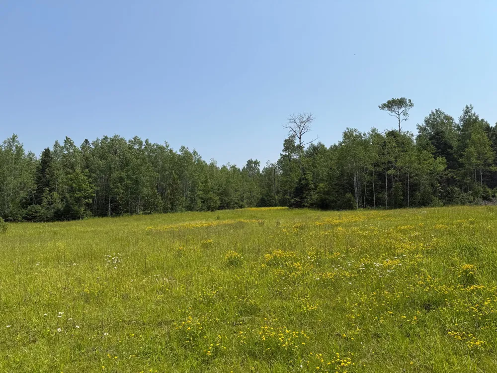 3437 Blueberry Hill Rd. Two Harbors, MN 55616