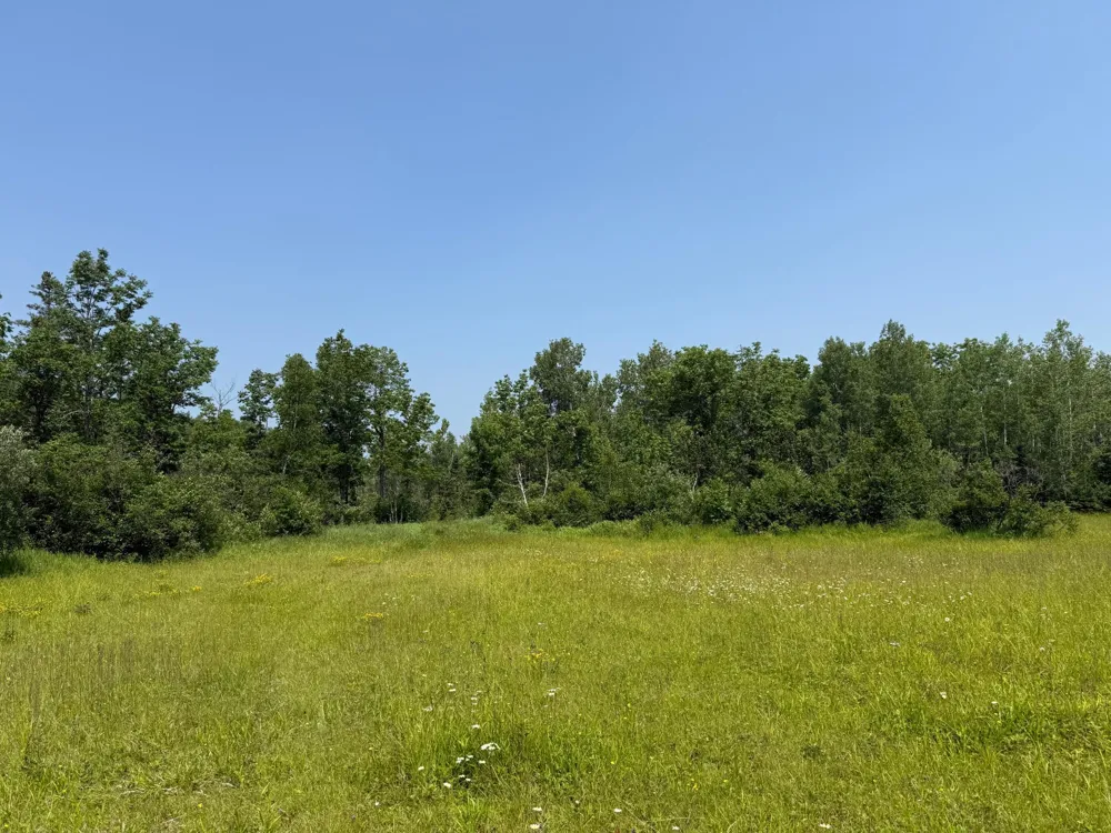 3437 Blueberry Hill Rd. Two Harbors, MN 55616