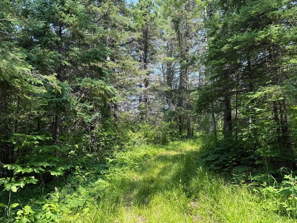 3437 Blueberry Hill Rd. Two Harbors, MN 55616