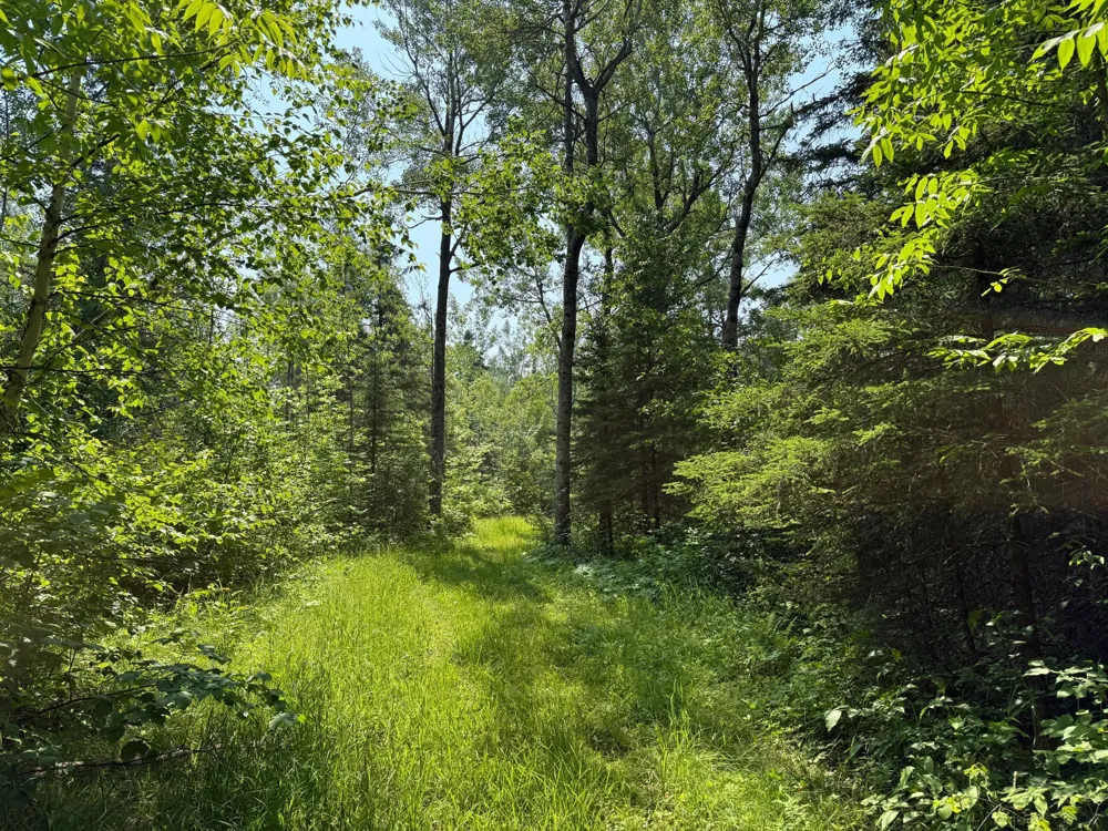 3437 Blueberry Hill Rd. Two Harbors, MN 55616
