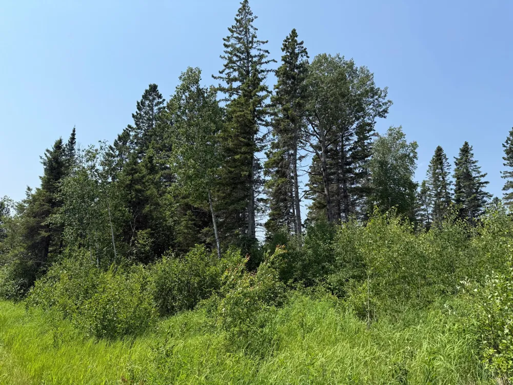 3437 Blueberry Hill Rd. Two Harbors, MN 55616