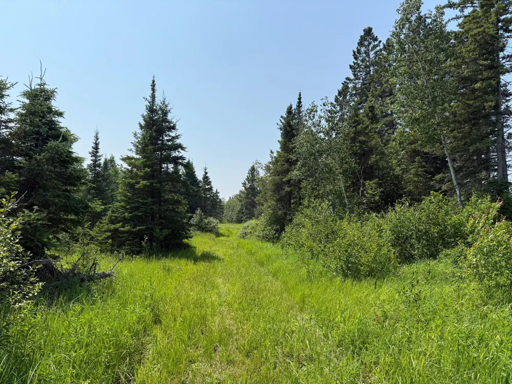 3437 Blueberry Hill Rd. Two Harbors, MN 55616
