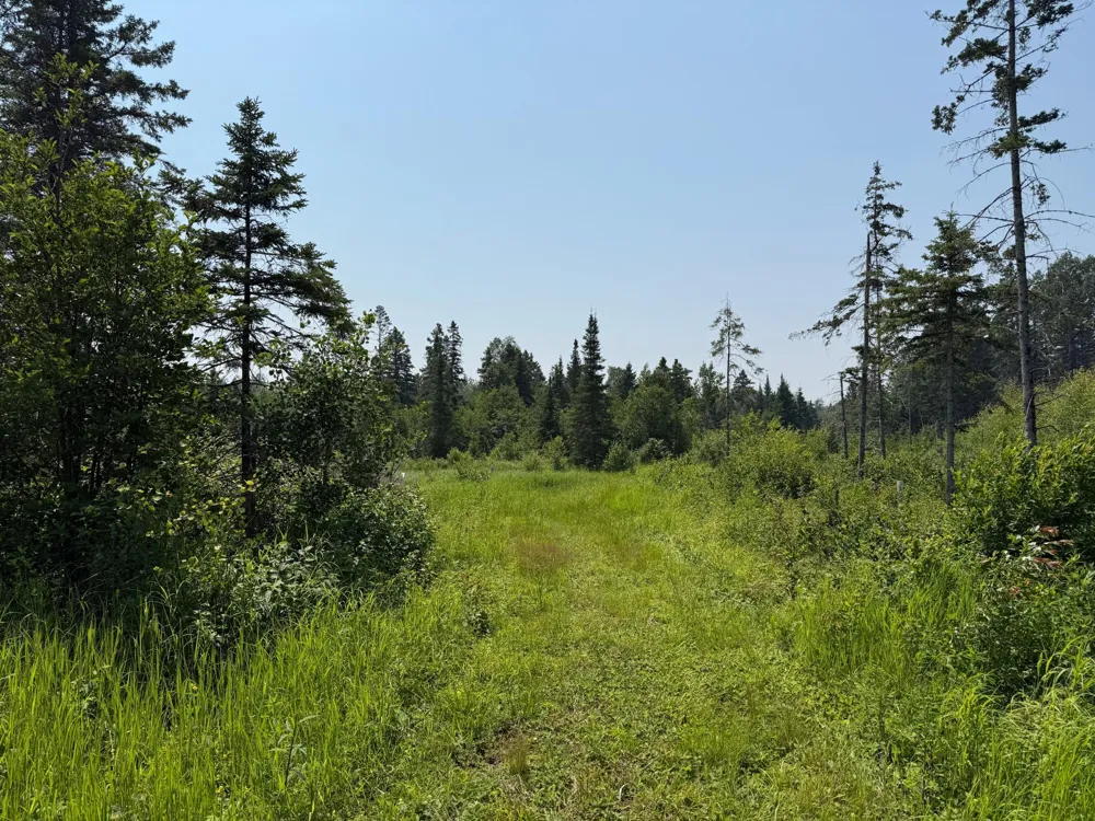 3437 Blueberry Hill Rd. Two Harbors, MN 55616