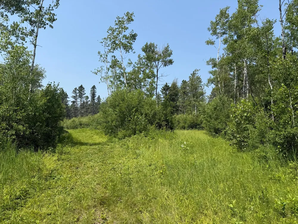 3437 Blueberry Hill Rd. Two Harbors, MN 55616
