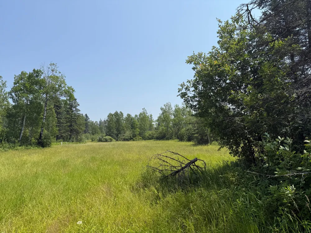 3437 Blueberry Hill Rd. Two Harbors, MN 55616