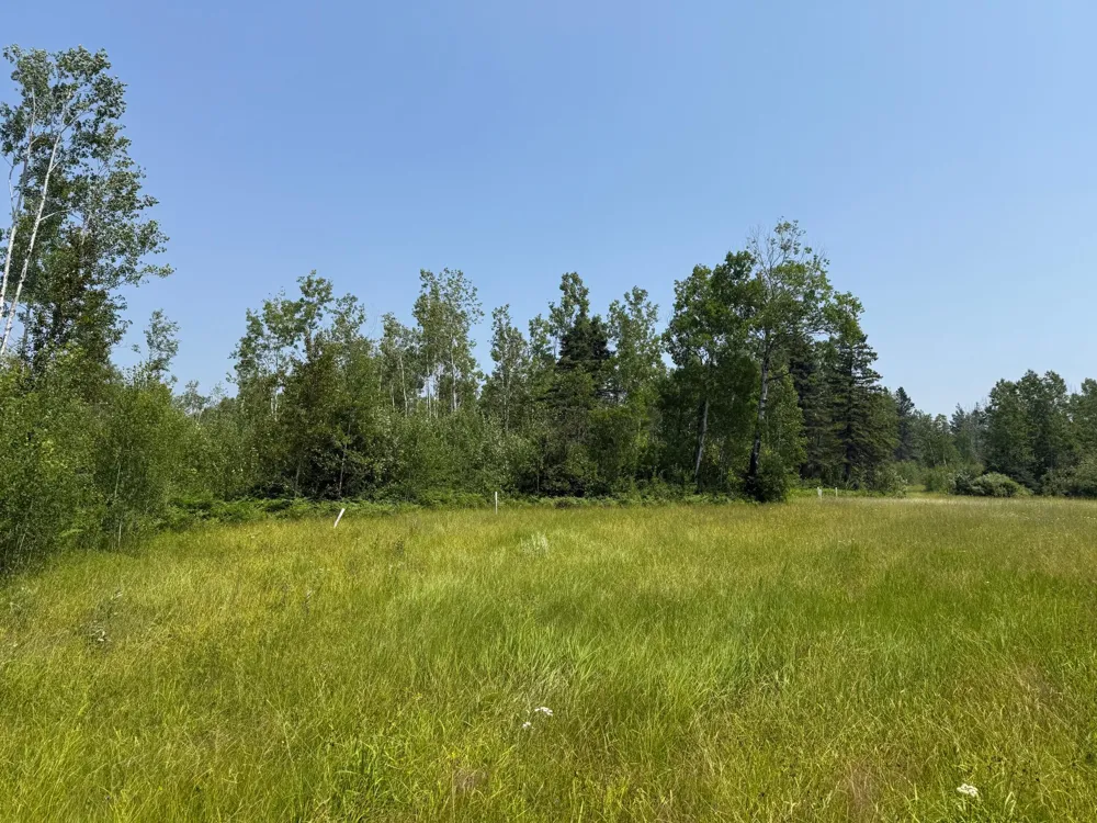 3437 Blueberry Hill Rd. Two Harbors, MN 55616