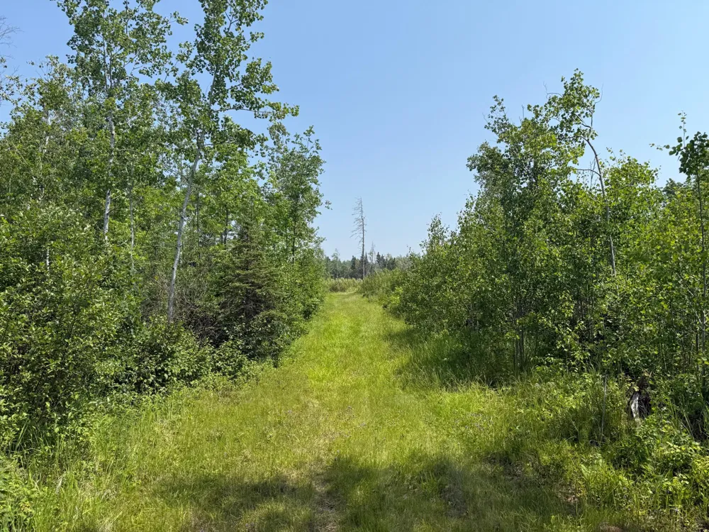3437 Blueberry Hill Rd. Two Harbors, MN 55616