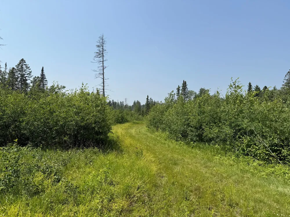 3437 Blueberry Hill Rd. Two Harbors, MN 55616