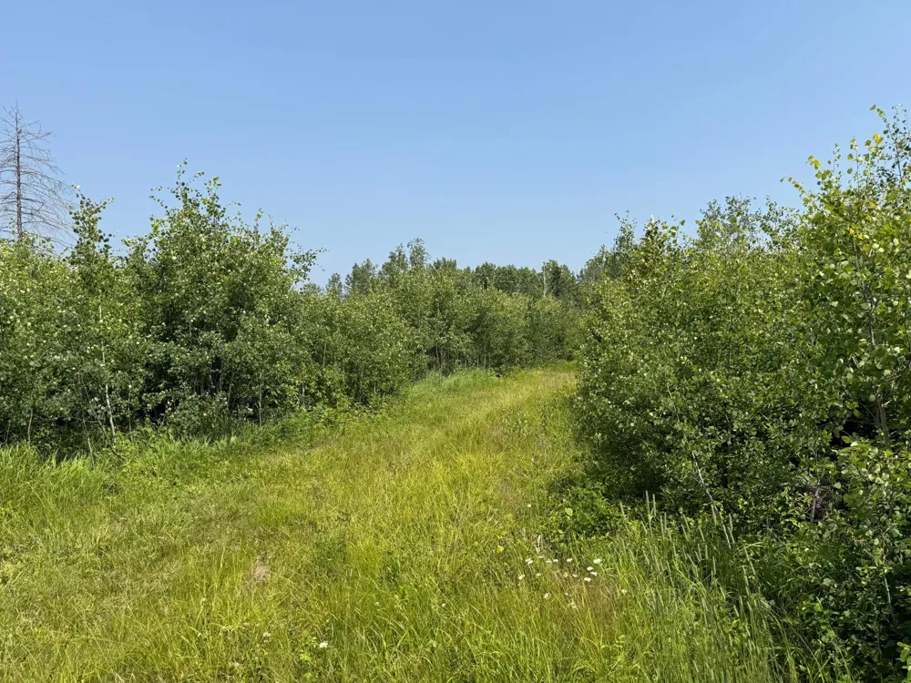 3437 Blueberry Hill Rd. Two Harbors, MN 55616