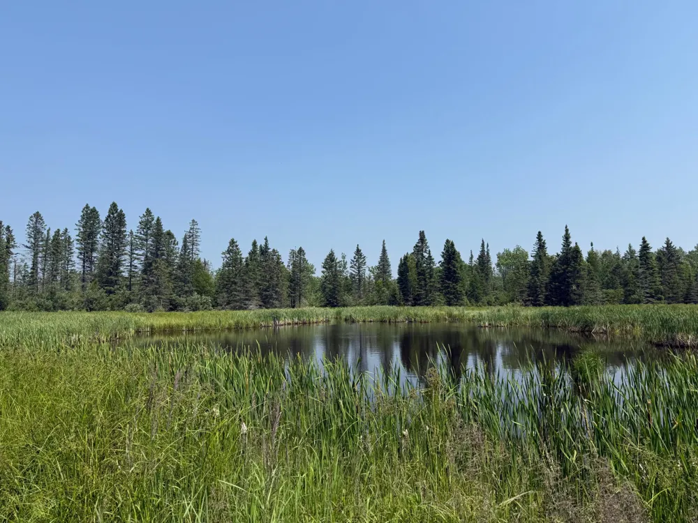 3437 Blueberry Hill Rd. Two Harbors, MN 55616