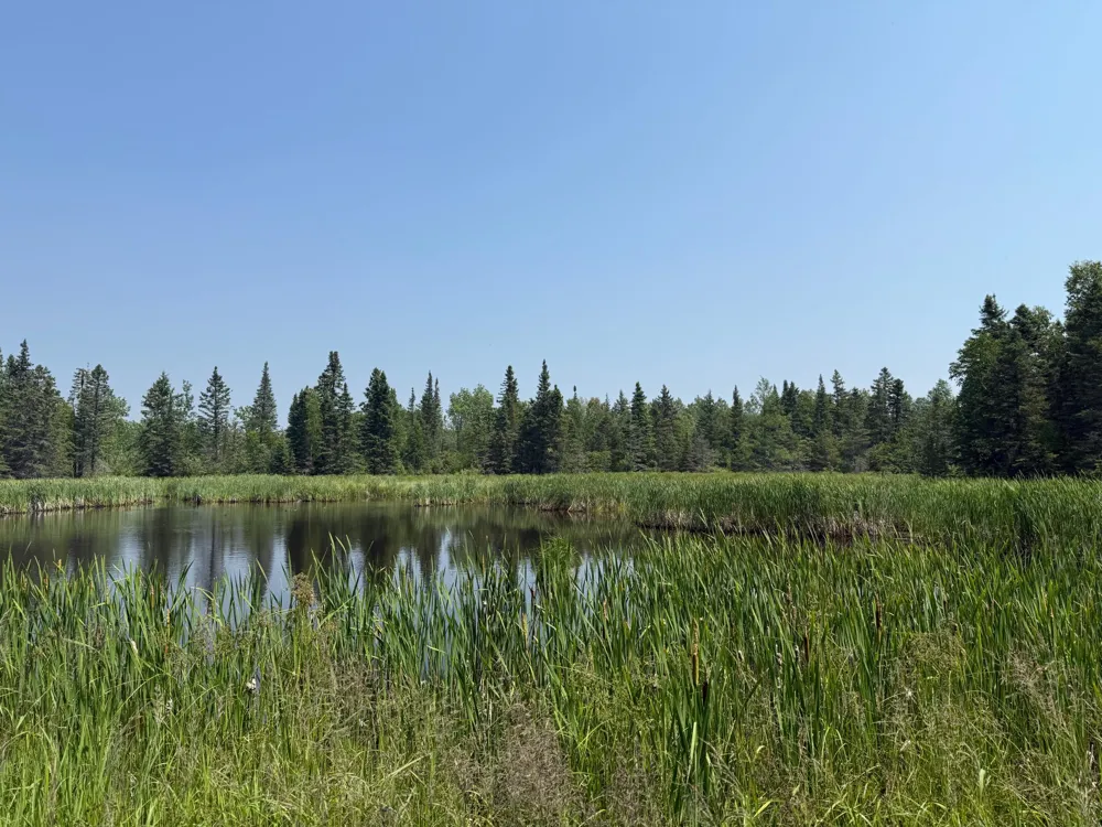 3437 Blueberry Hill Rd. Two Harbors, MN 55616
