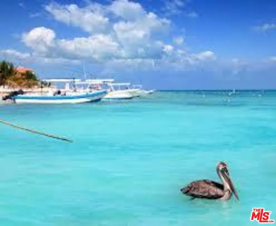 Puerto Morelos, Quintana Roo, Cancun Mexico 